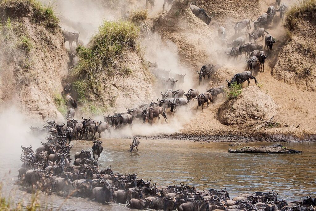 8 Days 7 Nights Wildebeest Migration Safari