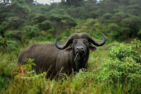 national-park.jpg